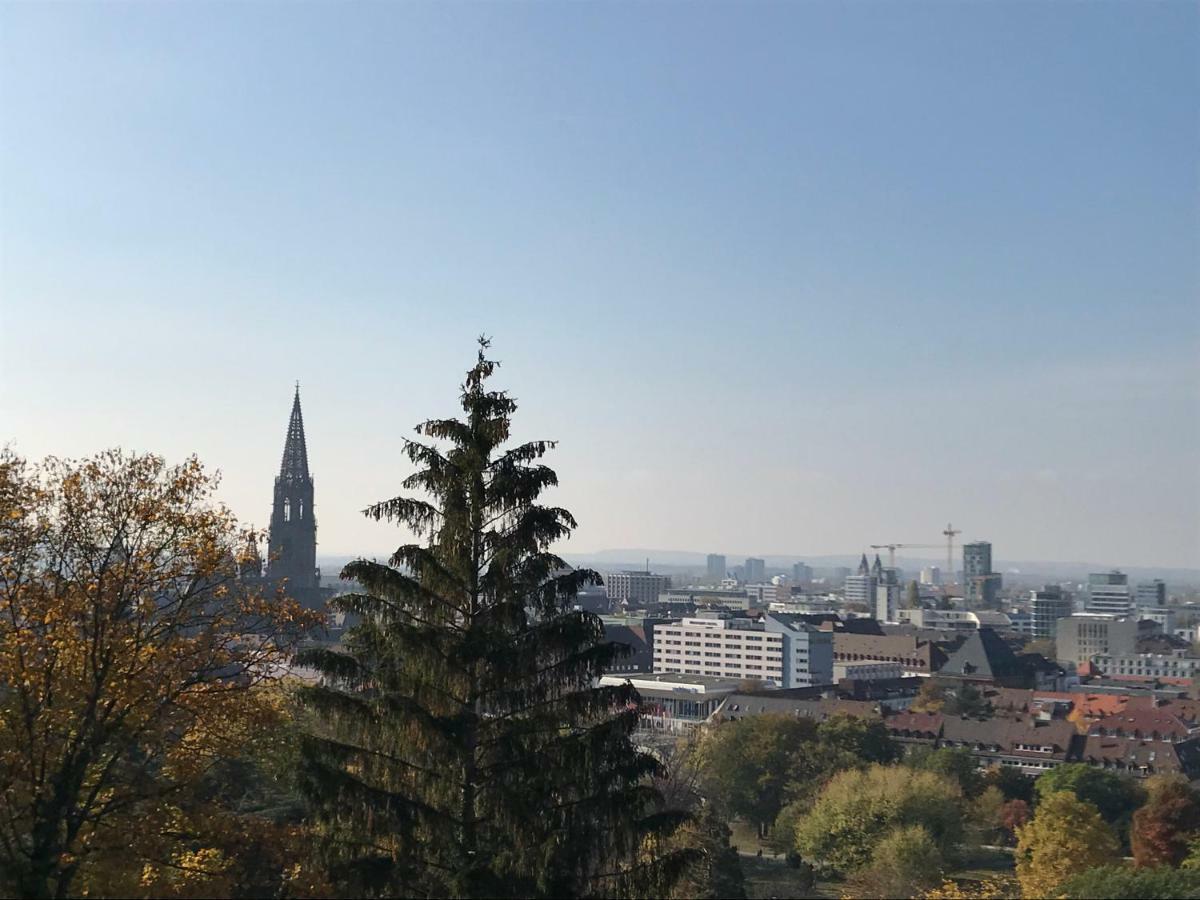 Ferienwohnung-freiburg-exklusiv Appartement